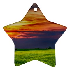 Countryside Landscape Nature Rural Star Ornament (two Sides) by Celenk