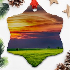 Countryside Landscape Nature Rural Ornament (snowflake) by Celenk