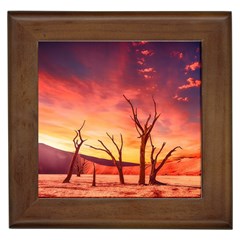 Desert Arid Dry Drought Landscape Framed Tiles