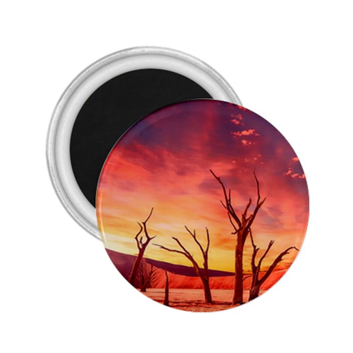 Desert Arid Dry Drought Landscape 2.25  Magnets