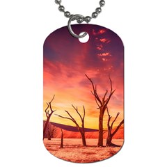 Desert Arid Dry Drought Landscape Dog Tag (Two Sides)