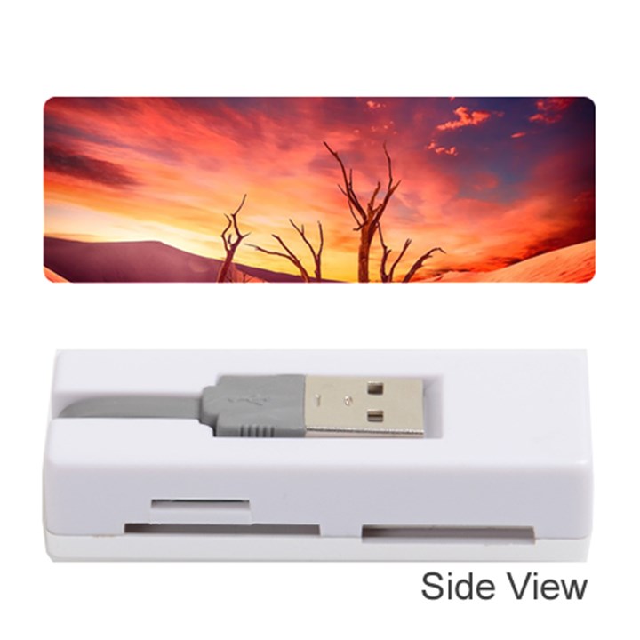 Desert Arid Dry Drought Landscape Memory Card Reader (Stick) 