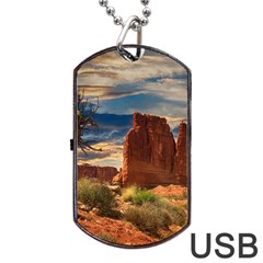 Bryce Canyon Usa Canyon Bryce Dog Tag Usb Flash (one Side) by Celenk