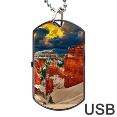 Snow Landscape Winter Cold Nature Dog Tag Usb Flash (two Sides) by Celenk