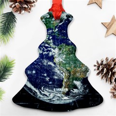 Earth Internet Globalisation Ornament (christmas Tree)  by Celenk