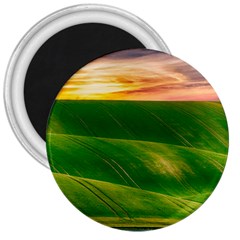 Hills Countryside Sky Rural 3  Magnets by Celenk