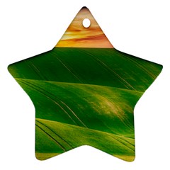 Hills Countryside Sky Rural Ornament (star) by Celenk