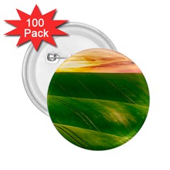 Hills Countryside Sky Rural 2 25  Buttons (100 Pack)  by Celenk