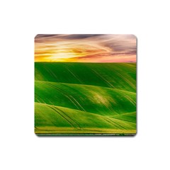 Hills Countryside Sky Rural Square Magnet by Celenk