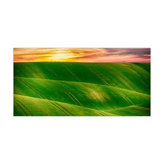 Hills Countryside Sky Rural Yoga Headband by Celenk