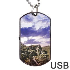 Mountain Snow Landscape Winter Dog Tag Usb Flash (one Side) by Celenk