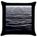 Texture Background Water Throw Pillow Case (Black) Front