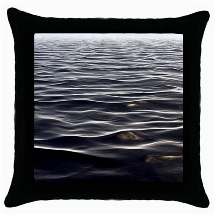 Texture Background Water Throw Pillow Case (Black)