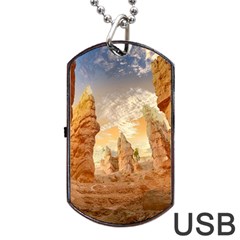 Canyon Desert Landscape Scenic Dog Tag Usb Flash (one Side) by Celenk