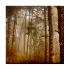 Forest Trees Wood Branc Tile Coasters by Celenk