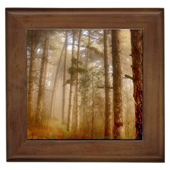 Forest Trees Wood Branc Framed Tiles by Celenk