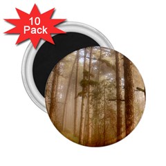 Forest Trees Wood Branc 2 25  Magnets (10 Pack)  by Celenk