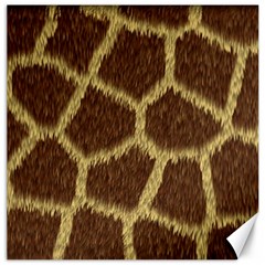 Background Texture Giraffe Canvas 12  X 12   by Celenk