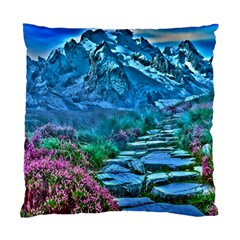 Pathway Nature Landscape Outdoor Standard Cushion Case (one Side) by Celenk