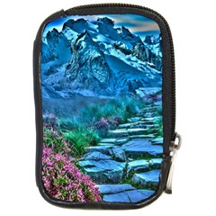 Pathway Nature Landscape Outdoor Compact Camera Cases by Celenk