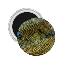 Rice Field China Asia Rice Rural 2 25  Magnets by Celenk