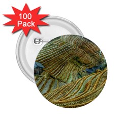 Rice Field China Asia Rice Rural 2 25  Buttons (100 Pack)  by Celenk