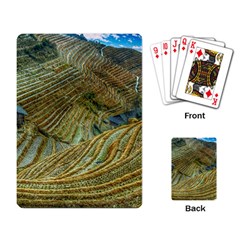 Rice Field China Asia Rice Rural Playing Card