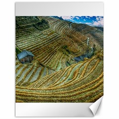 Rice Field China Asia Rice Rural Canvas 12  X 16   by Celenk