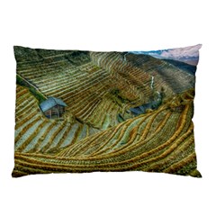 Rice Field China Asia Rice Rural Pillow Case by Celenk