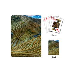 Rice Field China Asia Rice Rural Playing Cards (mini)  by Celenk