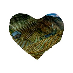 Rice Field China Asia Rice Rural Standard 16  Premium Heart Shape Cushions by Celenk