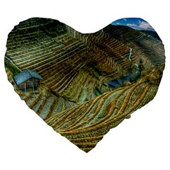 Rice Field China Asia Rice Rural Large 19  Premium Heart Shape Cushions by Celenk