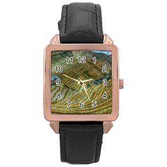 Rice Field China Asia Rice Rural Rose Gold Leather Watch  by Celenk