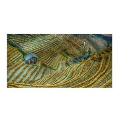 Rice Field China Asia Rice Rural Satin Wrap by Celenk