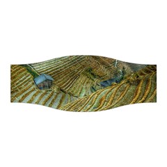 Rice Field China Asia Rice Rural Stretchable Headband by Celenk