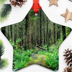 Forest Woods Nature Landscape Tree Ornament (star)