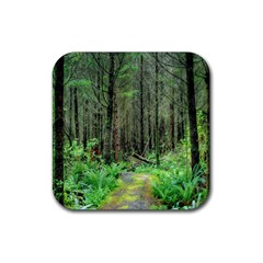 Forest Woods Nature Landscape Tree Rubber Coaster (square)  by Celenk