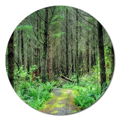 Forest Woods Nature Landscape Tree Magnet 5  (round) by Celenk