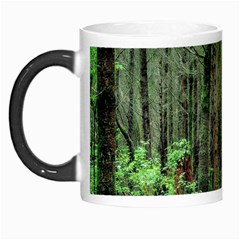 Forest Woods Nature Landscape Tree Morph Mugs