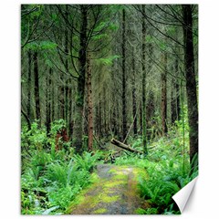 Forest Woods Nature Landscape Tree Canvas 8  X 10  by Celenk