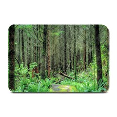 Forest Woods Nature Landscape Tree Plate Mats by Celenk