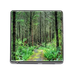 Forest Woods Nature Landscape Tree Memory Card Reader (square) by Celenk