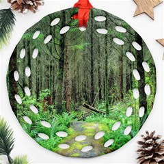 Forest Woods Nature Landscape Tree Round Filigree Ornament (two Sides) by Celenk