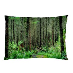 Forest Woods Nature Landscape Tree Pillow Case (two Sides) by Celenk