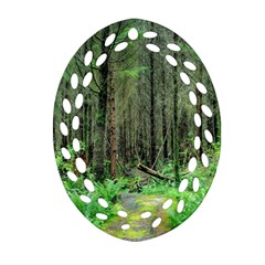 Forest Woods Nature Landscape Tree Ornament (oval Filigree)