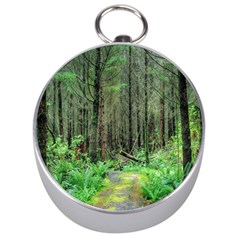 Forest Woods Nature Landscape Tree Silver Compasses by Celenk