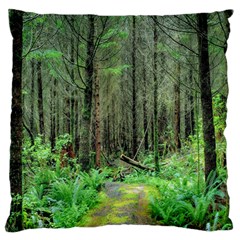 Forest Woods Nature Landscape Tree Large Flano Cushion Case (one Side)