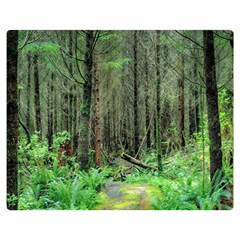 Forest Woods Nature Landscape Tree Double Sided Flano Blanket (medium)  by Celenk