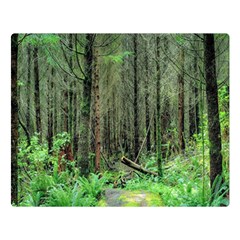 Forest Woods Nature Landscape Tree Double Sided Flano Blanket (large)  by Celenk