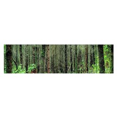 Forest Woods Nature Landscape Tree Satin Scarf (oblong) by Celenk